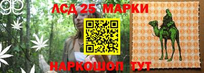 скорость mdpv Дубна